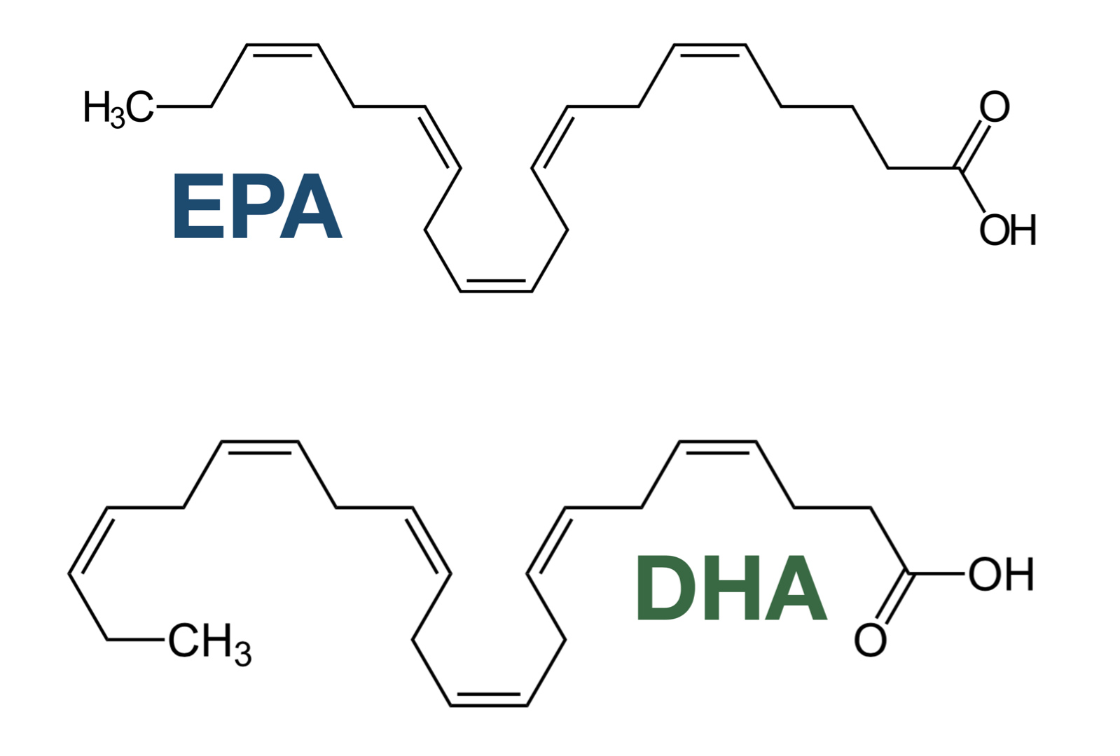 EPA und DHA